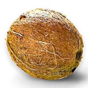 COCOSNOOT /COCONUT VERS