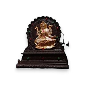 LAXMI NEELD MET LICHT