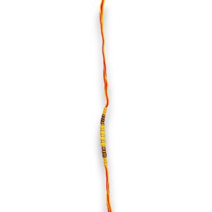 RAKHI R 12