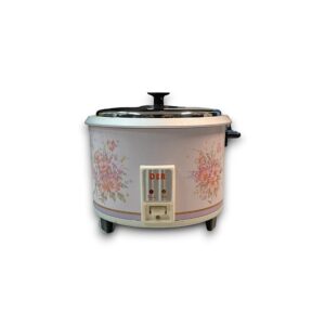 RIJST KOKER 900 WATT 2 KILO