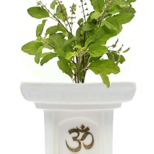 TOELSI -TULSI POT WIT OHM