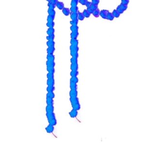 BLAUW  SLINGER MALA POM POM 130CM