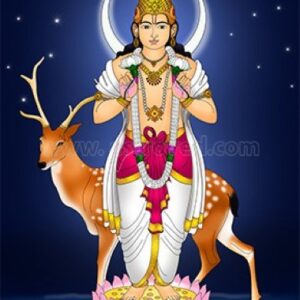 CHANDRA GRAH POOJA PAKKET