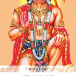 HET BOEK OVER HANUMAN