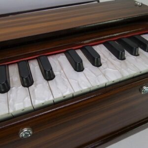 Harmonium Reparatie diagnose