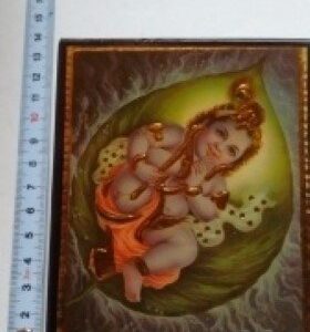 KRISHNA BABY LIJST