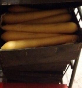 ZACHTE KAARS / SAFOE KANDRA