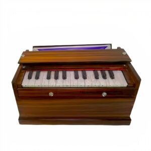 Harmonium kinder/child  2 OCT low qlty