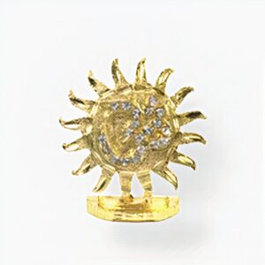 OHM  BEELD ZON GOUD