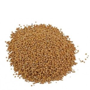 SARSO ZAAD GEEL 50GR