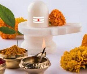 SHIVA POOJA PAKKET SAMAAN* BHARAT KINGS