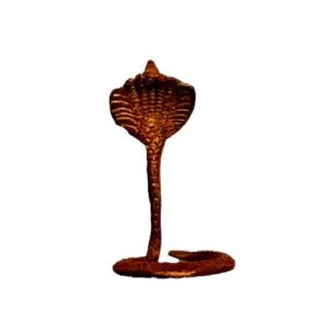 SLANGEN KOP ( NAAG ) 9CM