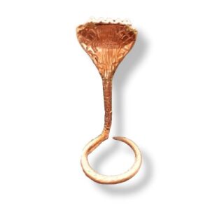 SLANGEN KOP 24CM ( NAAG )