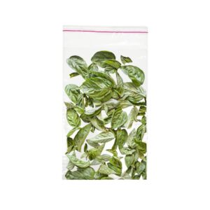 TOELSIE - TULSI BALD VERS FROZEN 12 BLAADJES